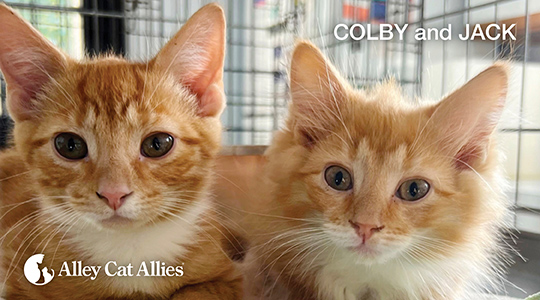 Colby & Jack