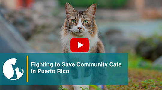 Puerto Rico
