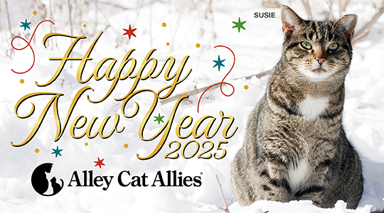 Happy New Year!