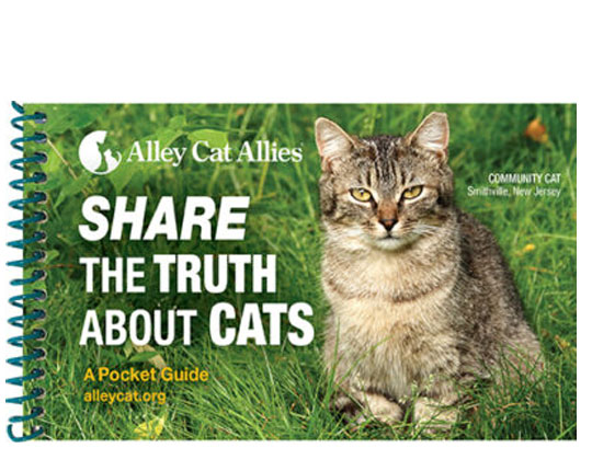 Share the Truth About Cats: A Pocket Guide