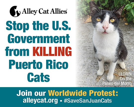 Worldwide Protest
