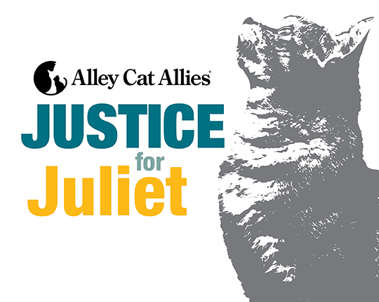 Justice for Juliet