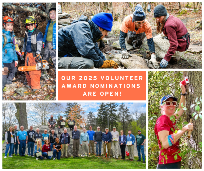 2025 volunteer award nominations