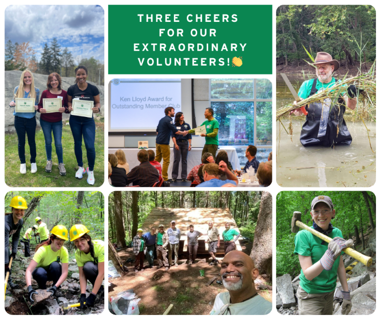 volunteers