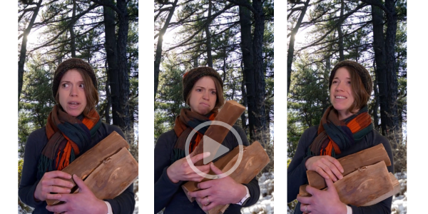 dont-move-firewood