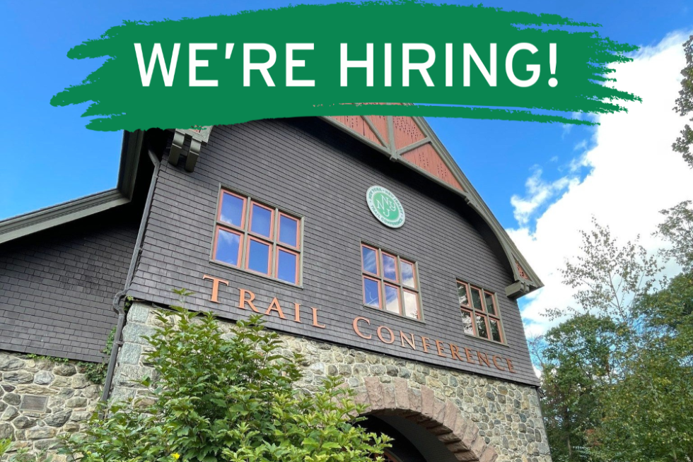 We're hiring