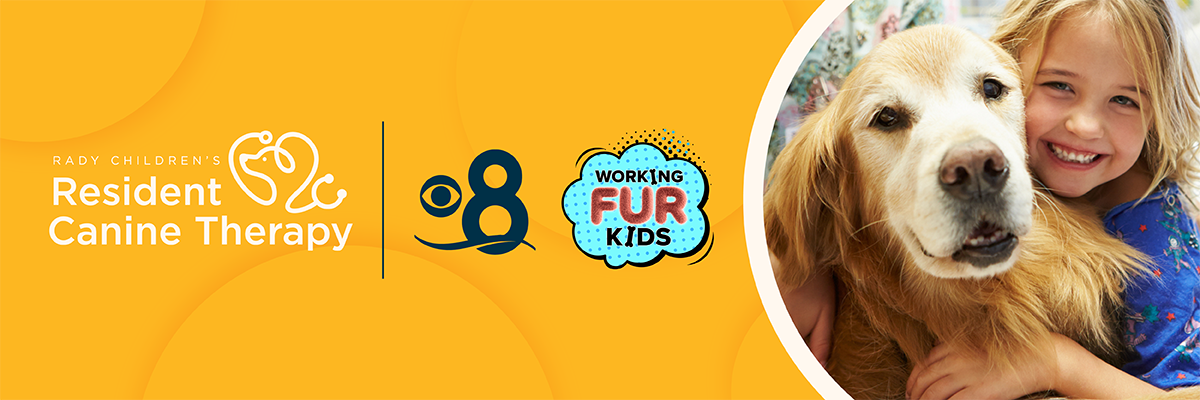 Resident Canine Therapy, Working Fur Kids