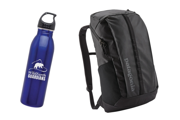 patagonia backpack water bottle - Black Hole Duffel 40L | 1920 For carrying comfort Patagonia Water Bottle Review 2026