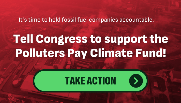 Make Polluters Pay