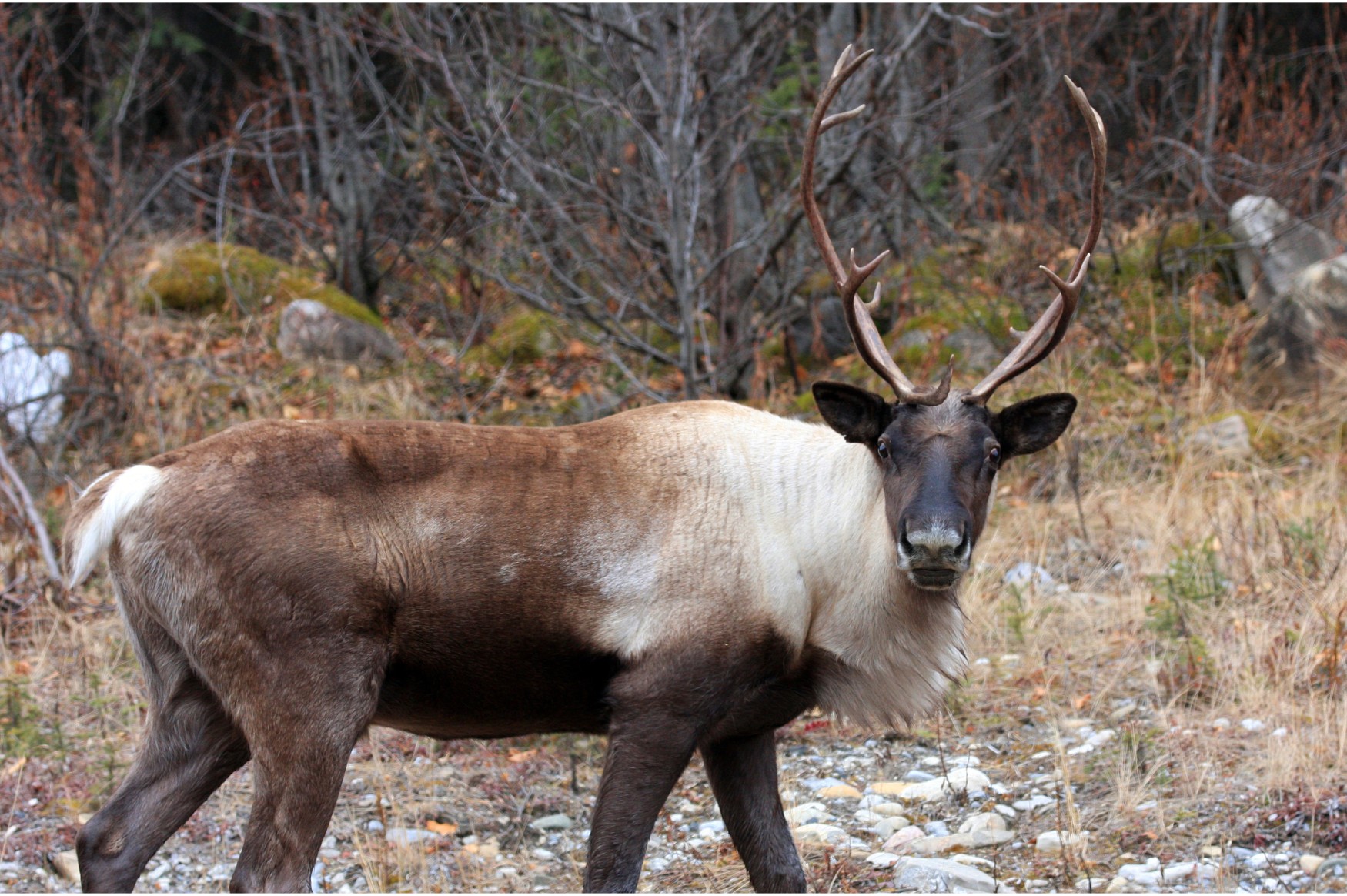 A Crucial Step to Protect Alaska