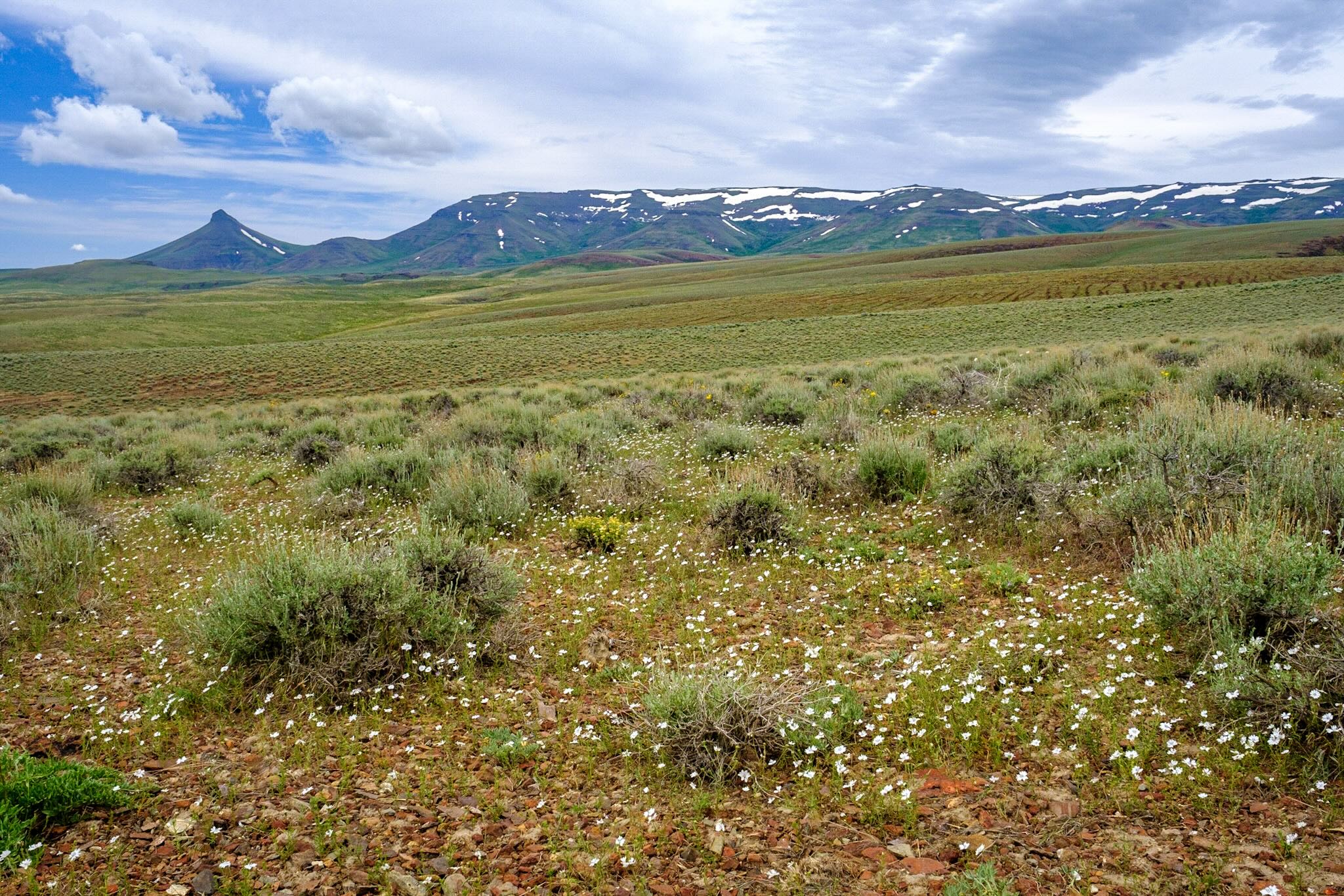 McDermitt Caldera. Photo by John Aylward.