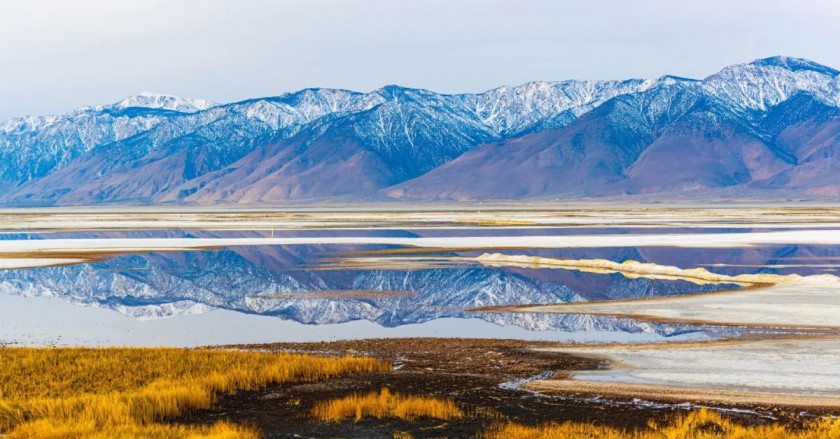 Wide landscape photo of a shallow lake reflecting snow-dusted mountains, with golden marsh grasses in the foreground.