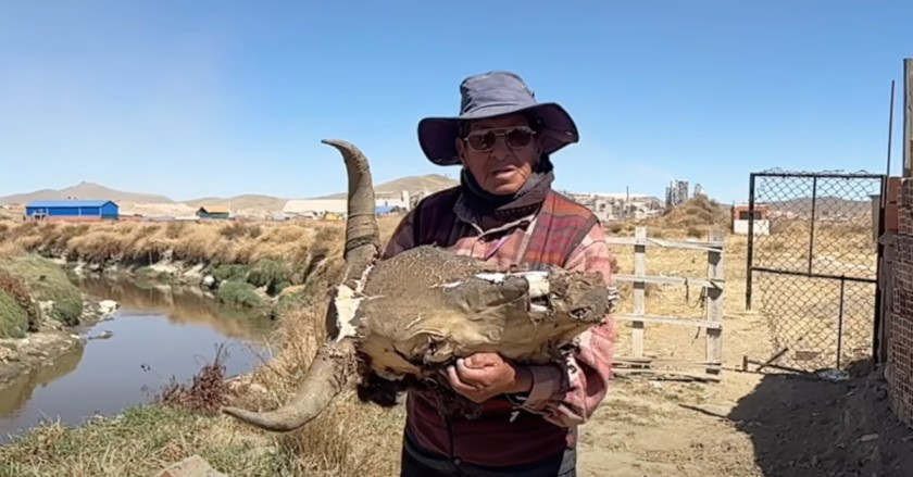 Man holding a decayed animal skull near a polluted river in Viacha, Bolivia.