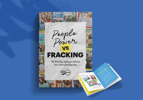 10 Years Later: Lessons from the Fight to Ban Fracking in New York and Beyond.