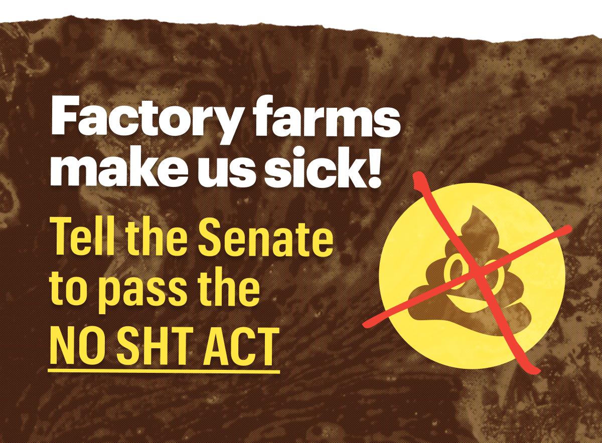 Tell the Senate to pass the NO SHT Act!