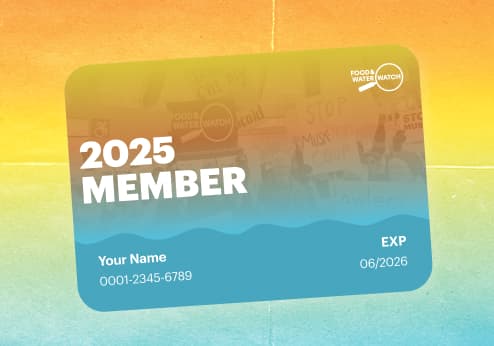 Summer Membership Drive
