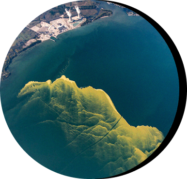 toxic algal blooms