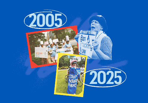 20 Years of Victories with Food & Water Watch