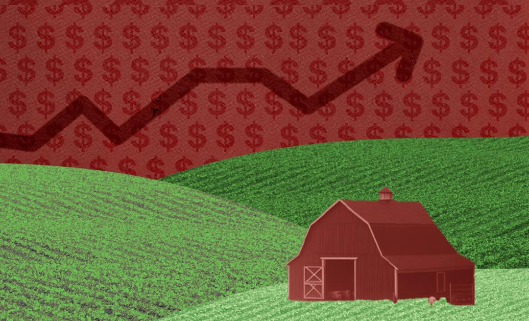 The Toll of Trump’s Tariffs on Farmers and Families