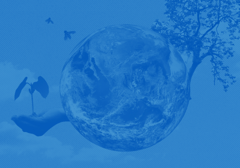 Renew Your Commitment to a Livable Future!