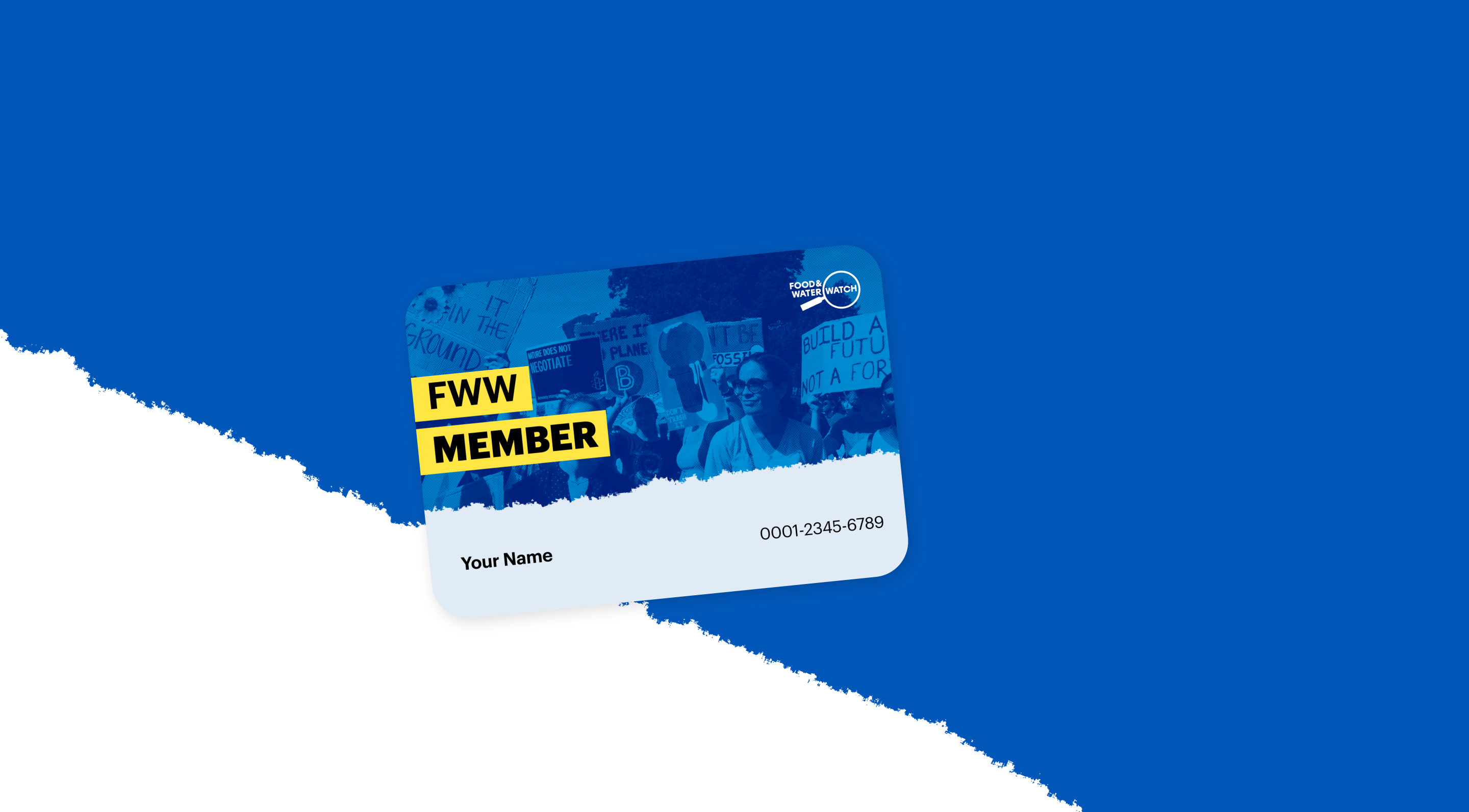 Start Your Membership Today