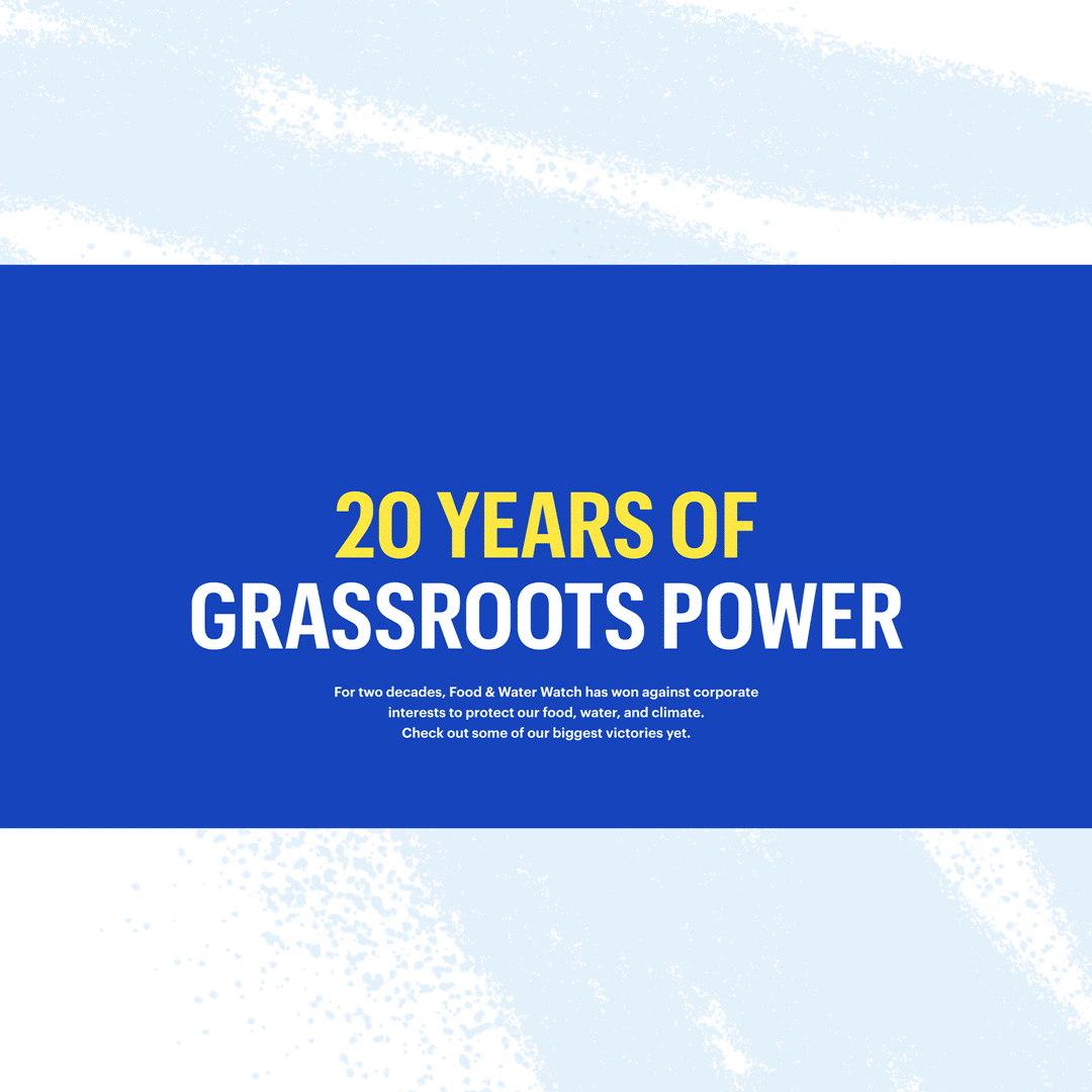 20 Years of Progress