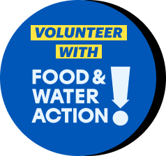 Volunteer with Food & Water Action