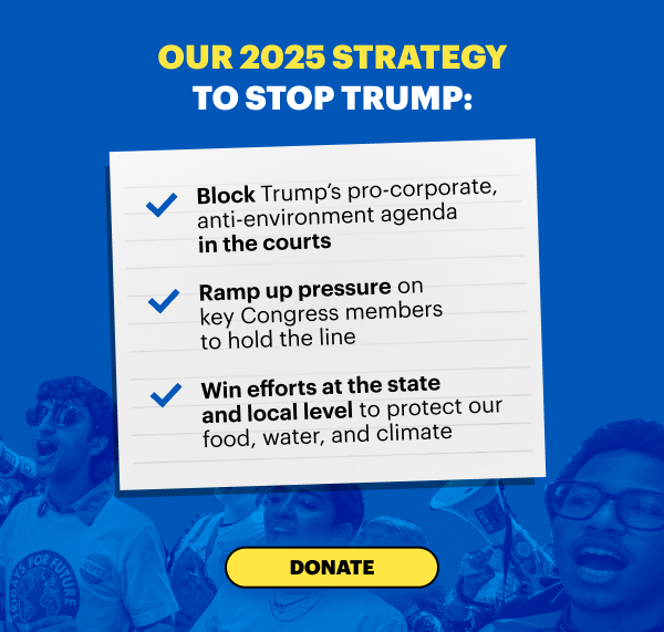 Our 2025 Strategy to Stop Trump