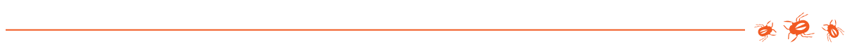 Orange line with bugs