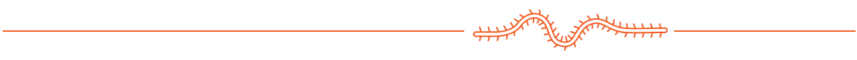 Orange line with bugs