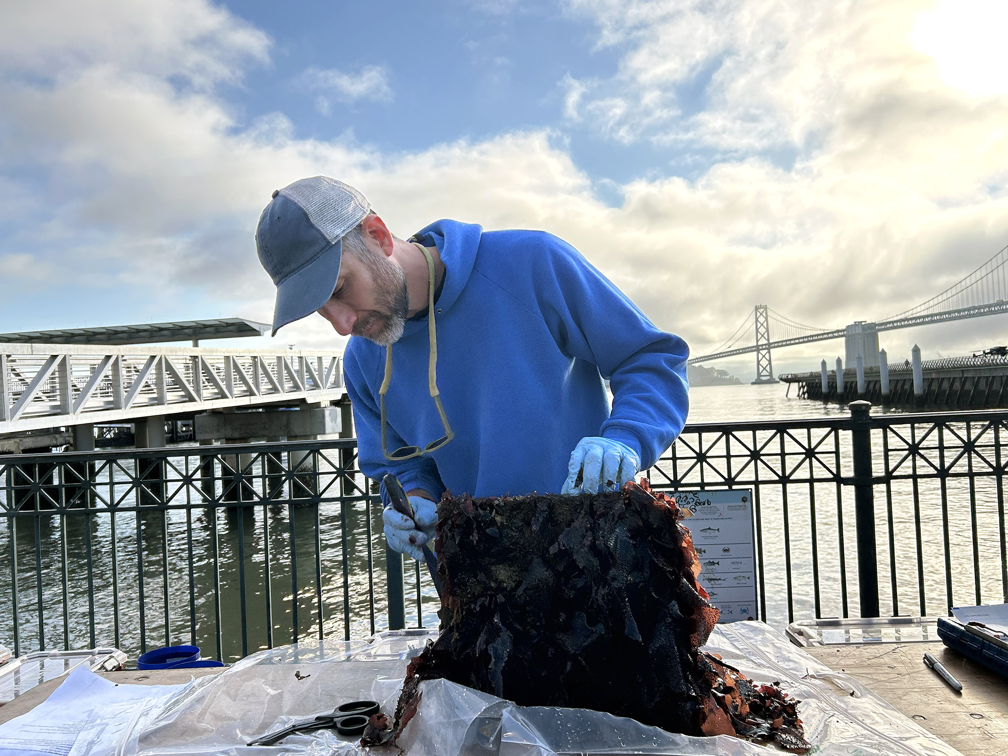  Biological sciences technician Jeffrey Blumenthal inspects specially designed tiles, which are part of an innovative study led by the Port of San Francisco and Smithsonian Environmental Research Center, to learn how we can make San Francisco's seawalls more ecologically friendly in the future.