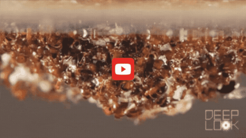 Hundreds of red fire ants hold together as they float in a pool of water. 