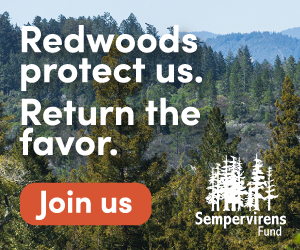 Sponsored by Sempervirens Fund