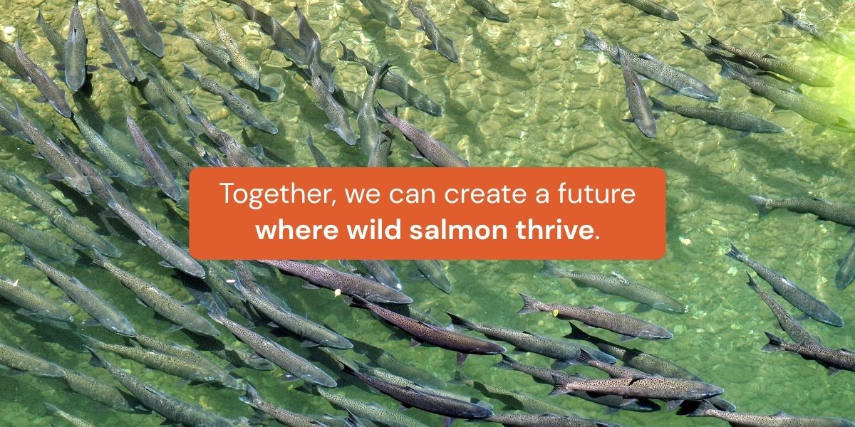 Together, we can create a future where wild salmon thrive.