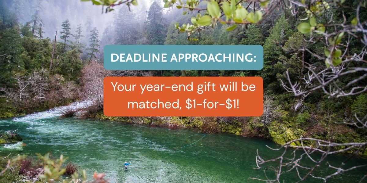 DEADLINE APPROACHING: Your year-end gift will be matched, $1-for-$1!