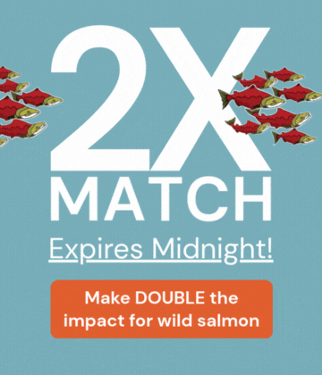 2x match! Expires midnight! Make DOUBLE the impact for wild salmon.