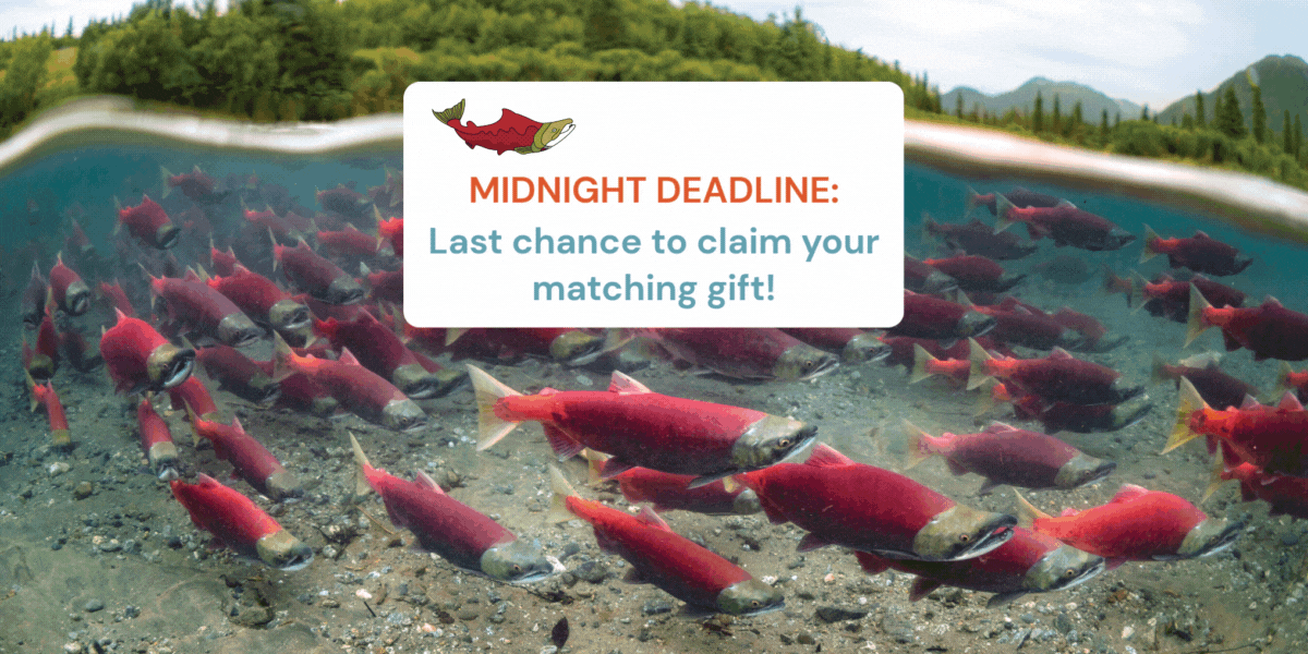 Midnight Deadline: Last chance to claim your matching gift!