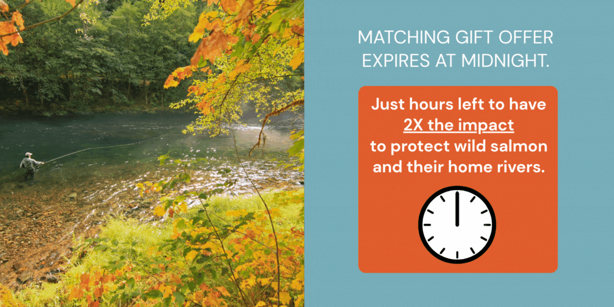 Matching gift offer expires at midnight. Just hours left to have 2X the impact to protect wild salmon and their home rivers.