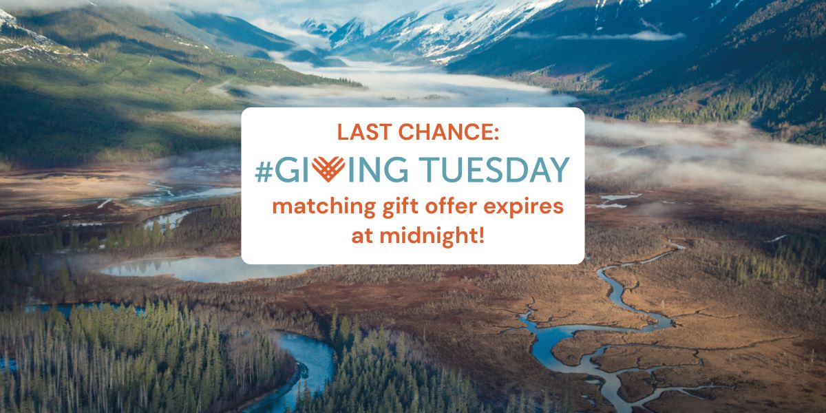 Last Chance: Giving Tuesday matching gift offer expires at midnight!
