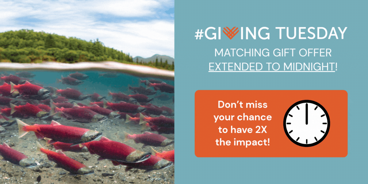 Giving Tuesday matching gift offer extended to midnight! Don't miss your chance to have 2x the impact!