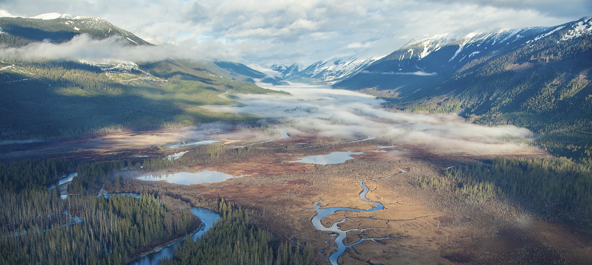 Wild Salmon Center