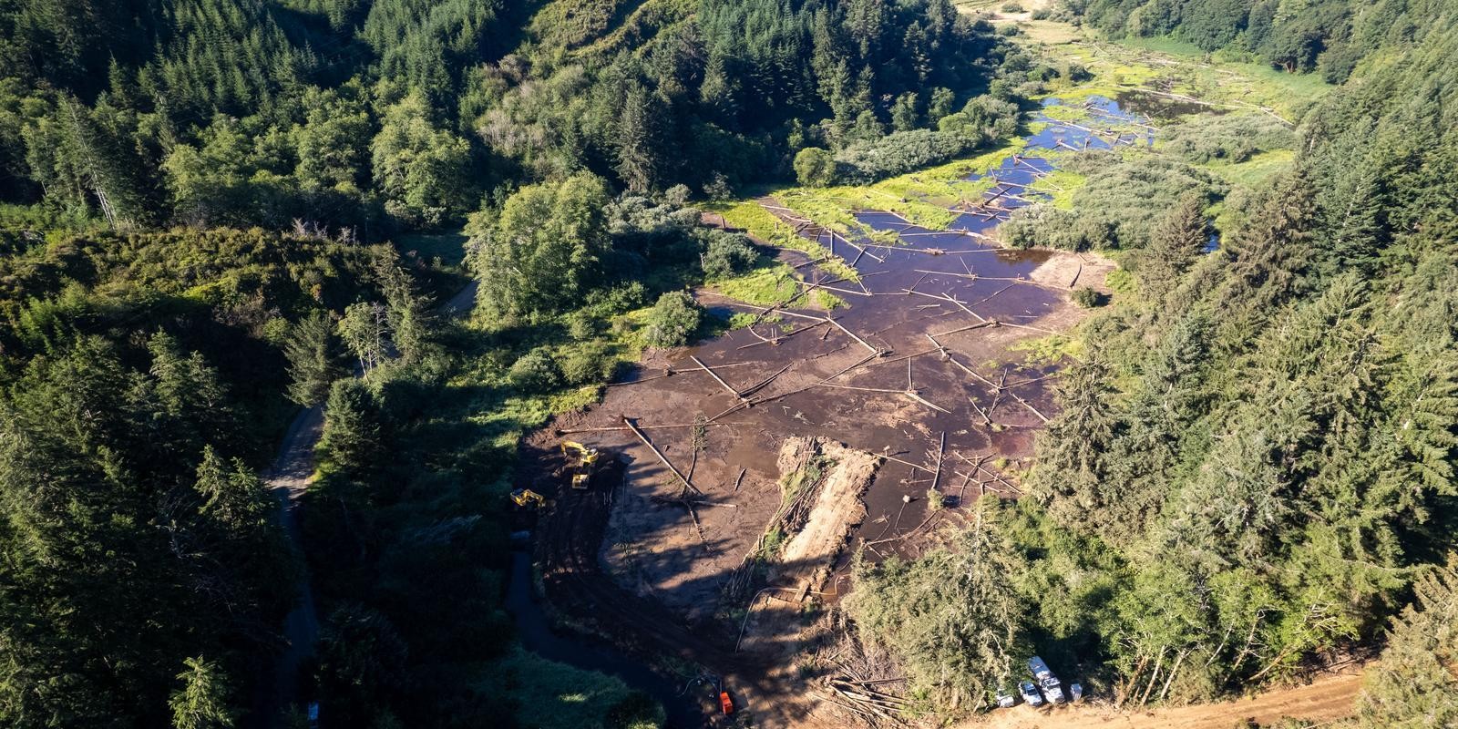 Wild Salmon Center
