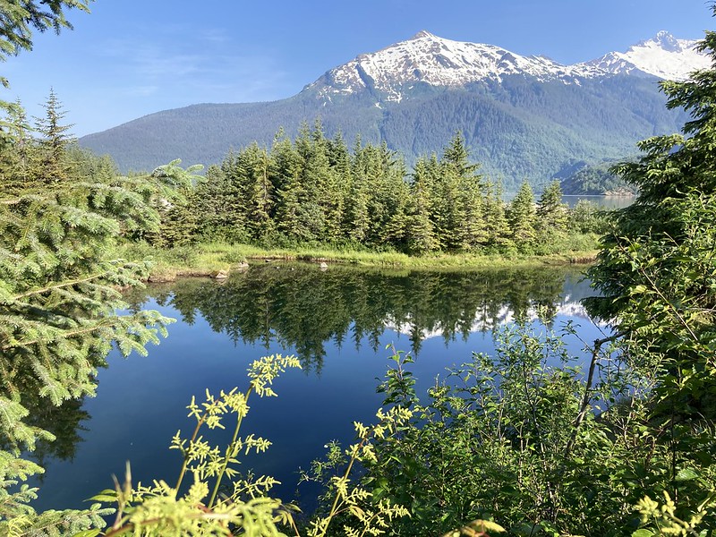 Tongass