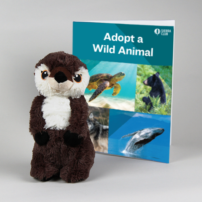 Eco-Pals River Otter