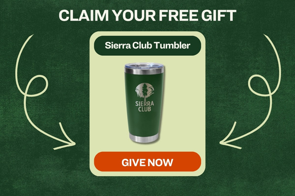 20 oz Green Tumbler