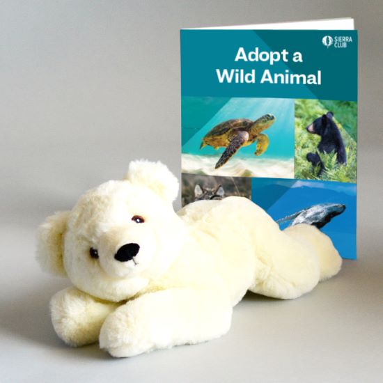 Eco-Plush Polar Bear