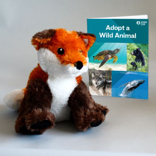 Eco-Plush Red Fox